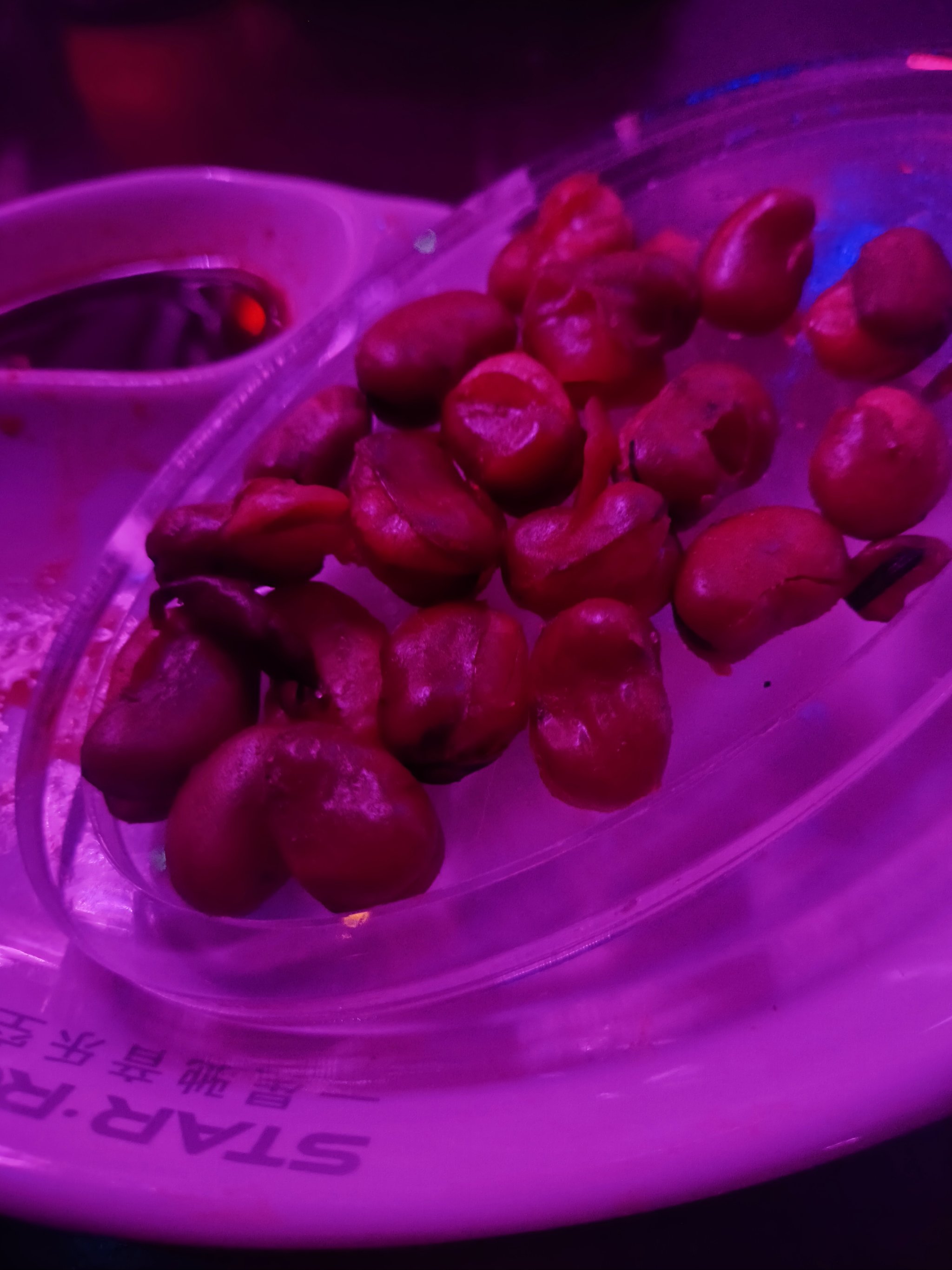 宁波商务KTV新玩法-镇海区ktv预订